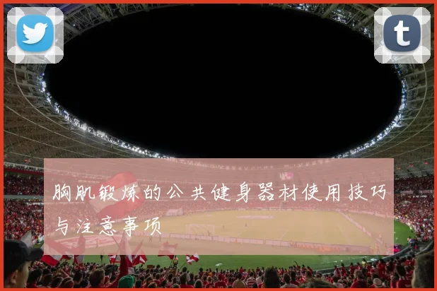 胸肌锻炼的公共健身器材使用技巧与注意事项