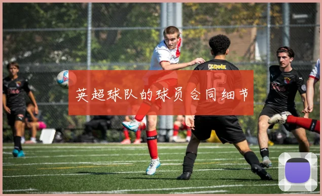 英超球队的球员合同细节