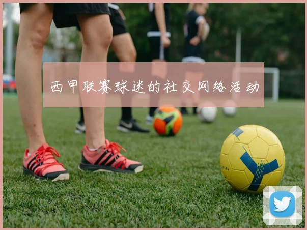 西甲联赛球迷的社交网络活动