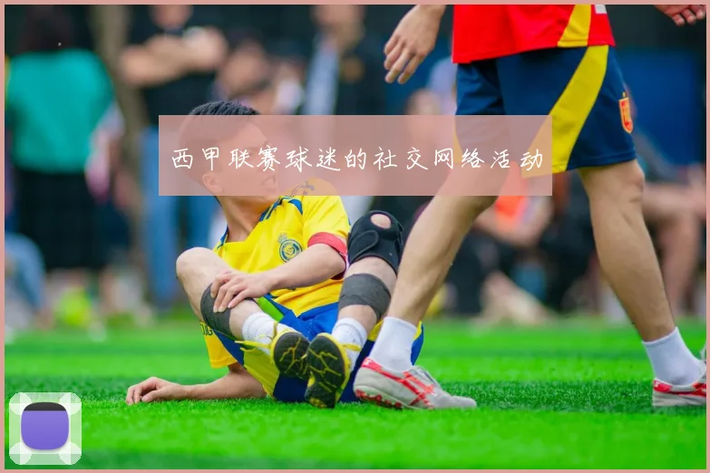 西甲联赛球迷的社交网络活动